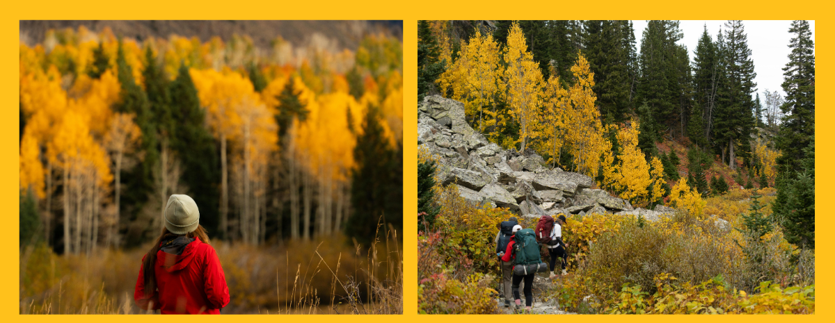 Summit County Friendship Circle: Fall Colors Hike
